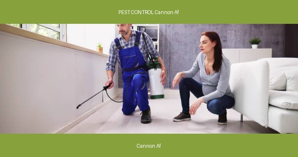PEST CONTROL Cannon Af